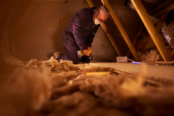 Best Crawl Space Insulation  in Wewahitchka, FL